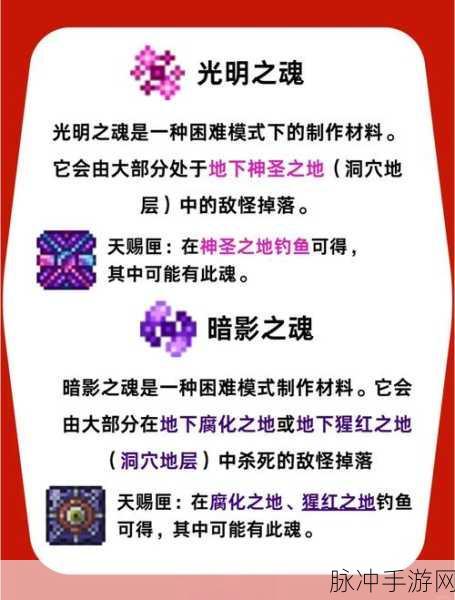 泰拉瑞亚手机版，飞行鞋使用指南