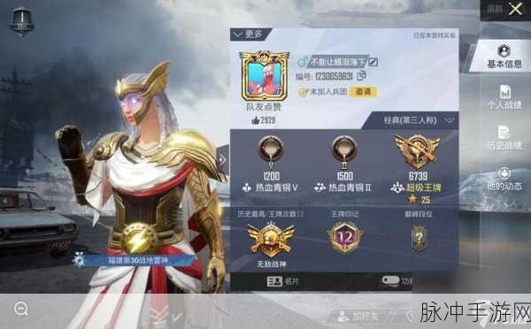 刺激战场深度剖析,王牌段位背后的秘密强者
