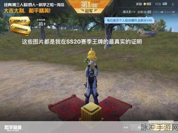 刺激战场深度剖析,王牌段位背后的秘密强者