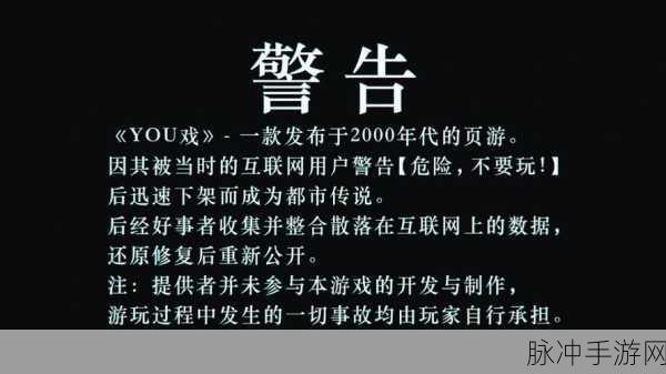 Steam游戏移植风波,遭遇可执行文件缺失的尴尬境地