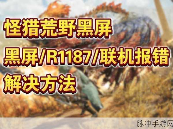 怪物猎人OL黑屏之谜,深度原因剖析与实战攻略