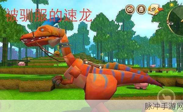 迷你世界驯龙高手养成记,揭秘神秘黑龙王驯服全攻略