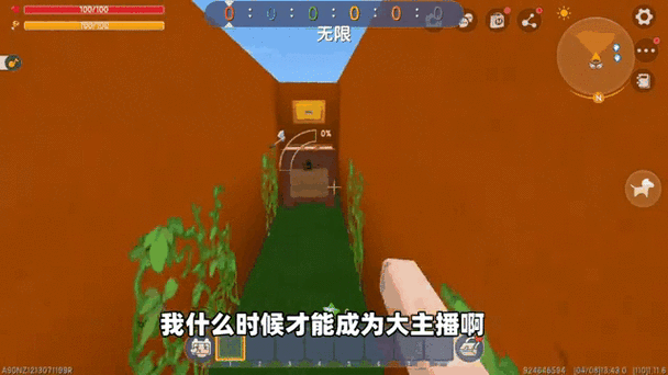 迷你世界星光璀璨，布丁主播的魅力全揭秘