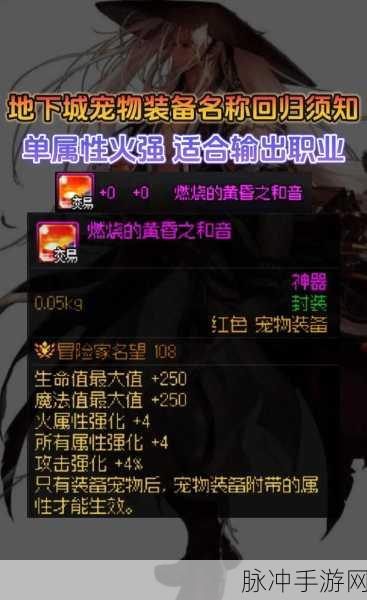 DNF永恒宠物外观盛宴,哪款宠物炫酷夺目?