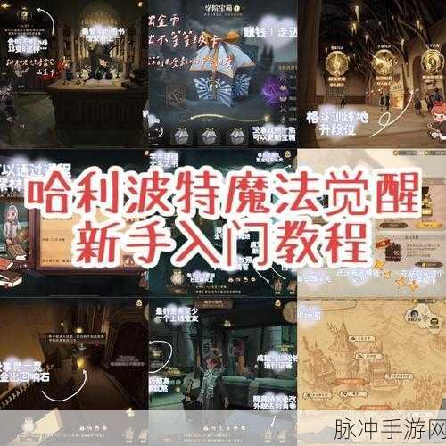 哈利波特,魔法觉醒,揭秘魔药使用全攻略