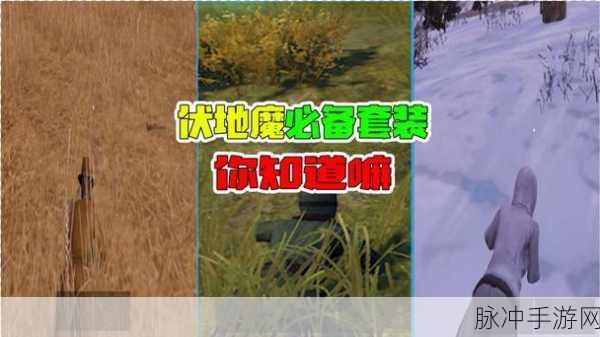 和平精英,草丛伏地魔的隐秘行动指南