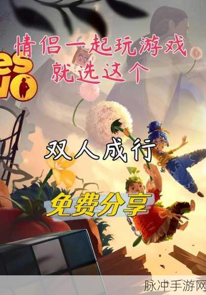 双人冒险新纪元,同屏联机,共闯奇幻世界