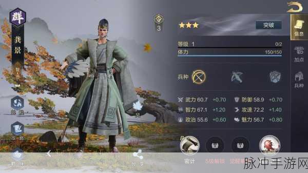鸿图之下揭秘，仙才风华究竟是哪位武将的绝技？