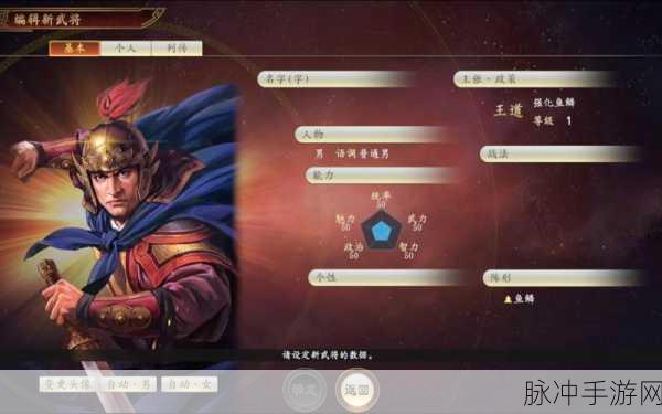 三国志14PK版,夹击效果深度解析与实战用法