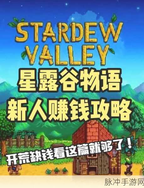 星露谷物语,宝石甜莓流深度剖析与高效致富秘籍