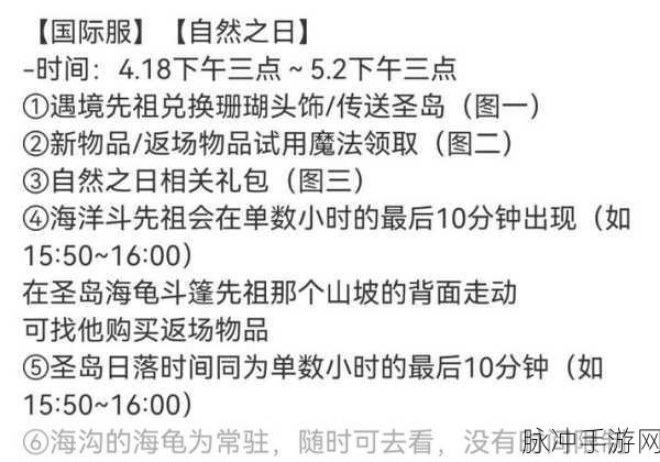 光遇海龟寻觅指南,掌握出现时间与位置,揭秘捕捉神秘海洋生物秘籍