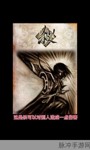 三国杀深度解析,新手眼中的珍宝,老鸟为何不屑一顾?