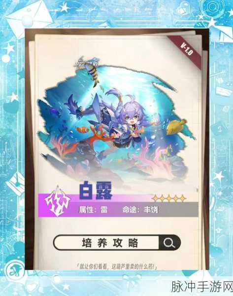 崩坏星穹铁道白露阵容搭配深度剖析