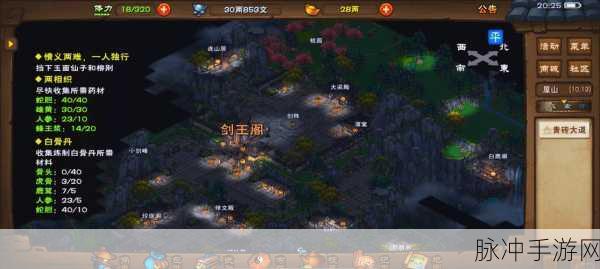 烟雨江湖剑王阁,揭秘拜师顺序与武学精髓