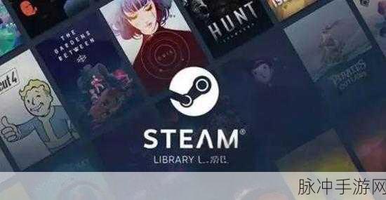 Steam错误代码102全面解决攻略,助你畅享游戏世界