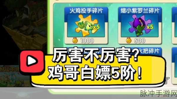 植物大战僵尸2火鸡投手,实力与趣味并存的战斗伙伴