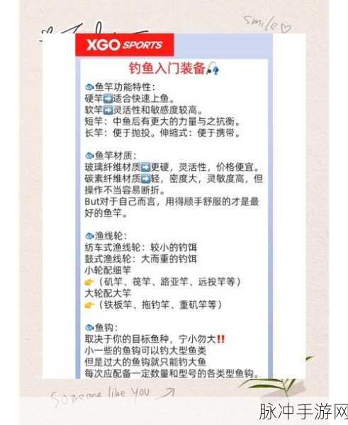 泰拉瑞亚钓鱼装备全攻略,打造你的专属渔趣之旅