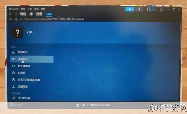 Steam无法添加好友?资深玩家为你揭秘解决方案!