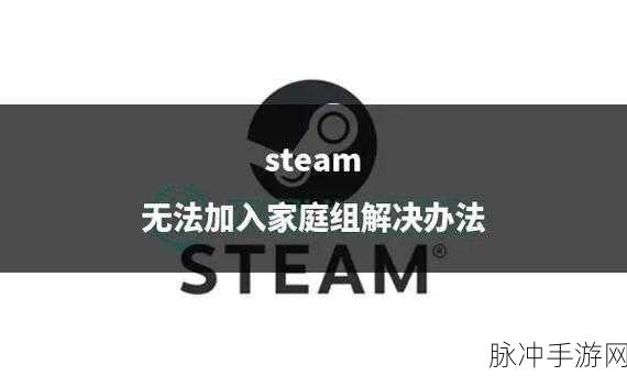 Steam无法添加好友?资深玩家为你揭秘解决方案!