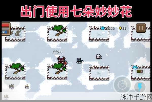 元气骑士奇遇,妙妙花的奇幻种植园与效果揭秘