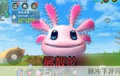 创造与魔法,顽皮蝾螈刷新地点全攻略