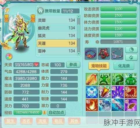 神武4反制宠技能搭配全攻略
