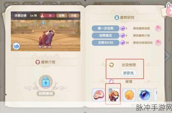 仙境传说RO新启航,光耀骑士深度剖析,实力与培养价值全解析