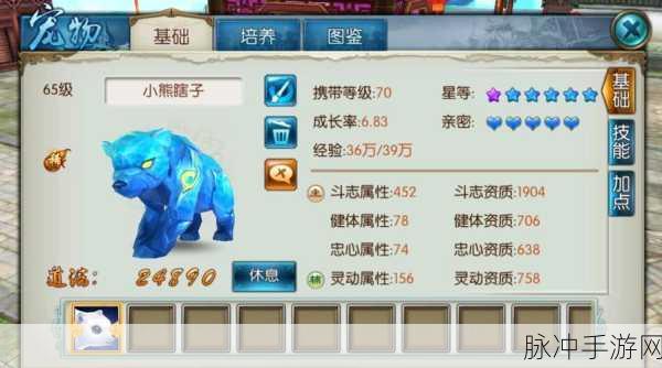 诛仙手游宠物技能深度剖析，揭秘四技能解锁终极秘籍