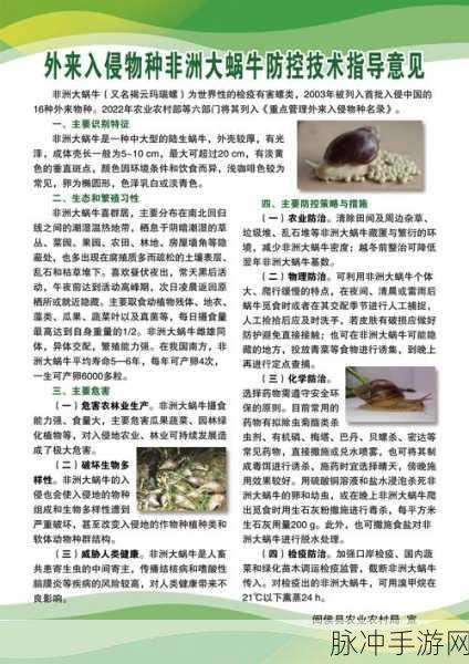 最强蜗牛研究手册分配策略大揭秘