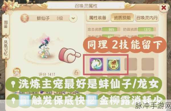 梦幻西游手游合宠秘籍，打造你的专属战斗伙伴