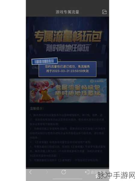 王者荣耀专属流量包使用指南，畅享游戏不耗流量