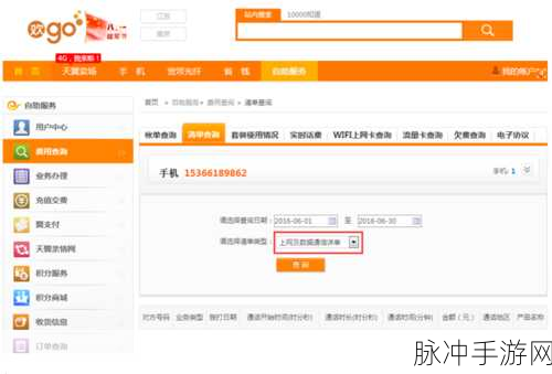王者荣耀专属流量包使用指南,畅享游戏不耗流量