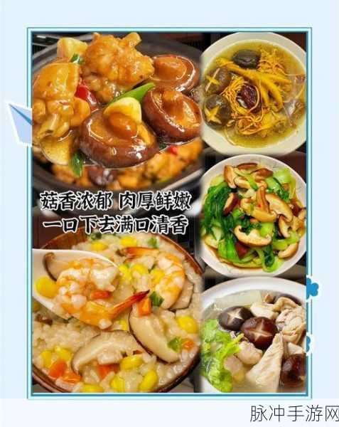 江湖悠悠，解锁香菇菜心食谱，探寻烹饪秘籍与味蕾盛宴