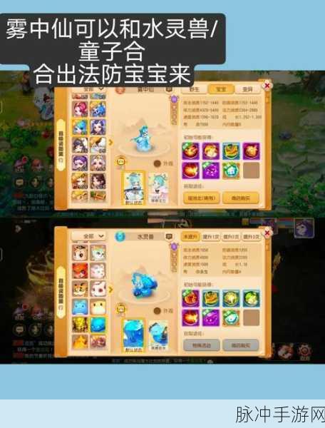 梦幻新诛仙洗宝宝全攻略,从新手到高手的蜕变之路