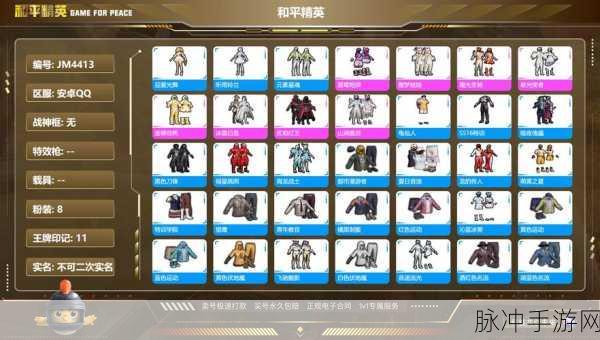 碧蓝航线猅,顶级阵容与装备搭配全解析