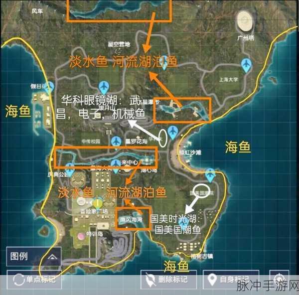 和平精英绿洲世界,探索鱼竿解锁的多元秘籍