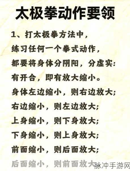 太极熊猫深度术语揭秘,新手进阶的必备宝典