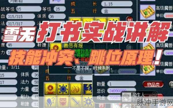 梦幻西游,协力技能深度剖析,共赴战斗新境界