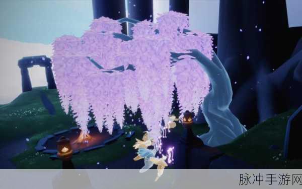 光遇紫色先祖,解锁神秘光芒的收藏之旅