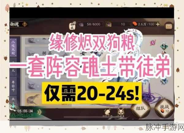 阴阳师高手秘籍，饭笥魂土阵容搭配全解析