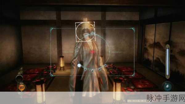 豪华与普通，哪款更胜一筹？零濡鸦之巫女版本深度对比