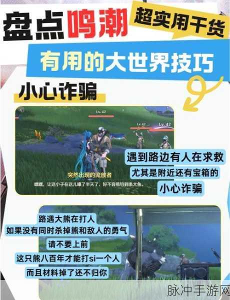 鸣潮孩童宝藏任务深度解析,追风哥哥揭秘探险寻宝秘籍