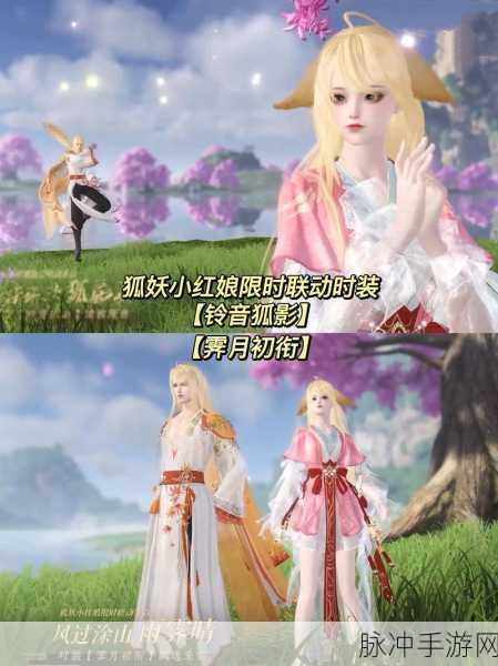狐妖小红娘手游S级伙伴高效抽取秘籍,助你成功率飙升!