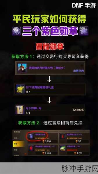 DNF手游深度探索,基础属性揭秘与管理策略