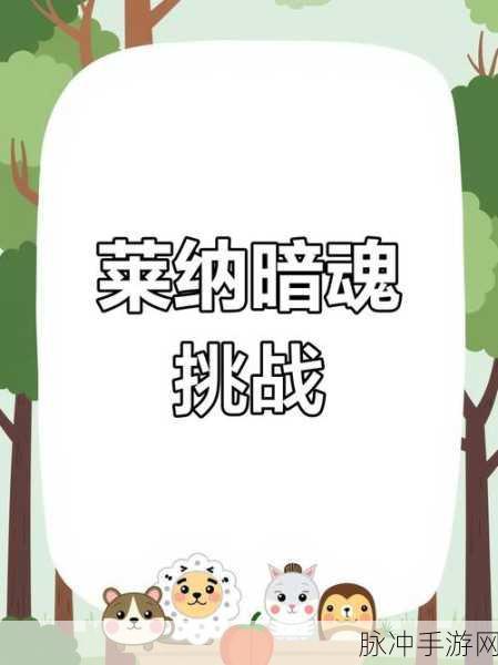 暗魂莱纳25层挑战,资深玩家通关秘籍大公开
