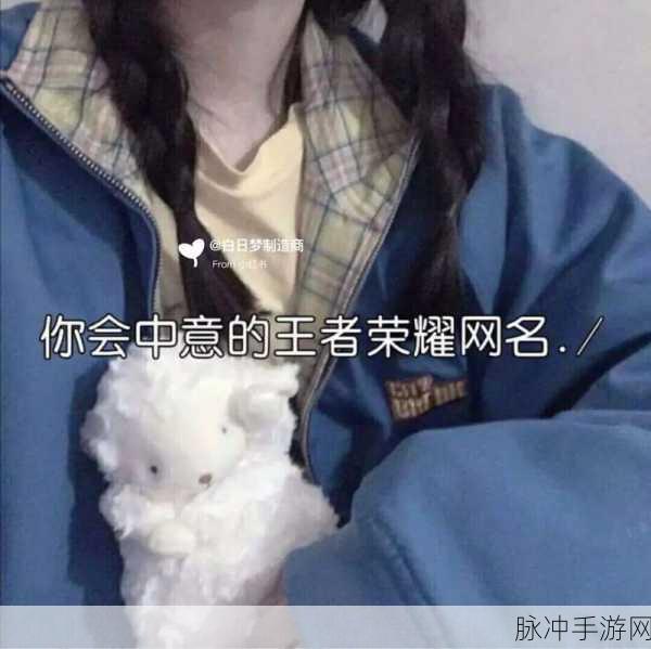 王者荣耀,高冷简短昵称大赏,30个精选让你独树一帜