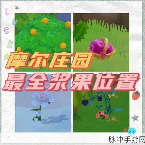 摩尔庄园手游探险指南，浆果丛林怪物全揭秘