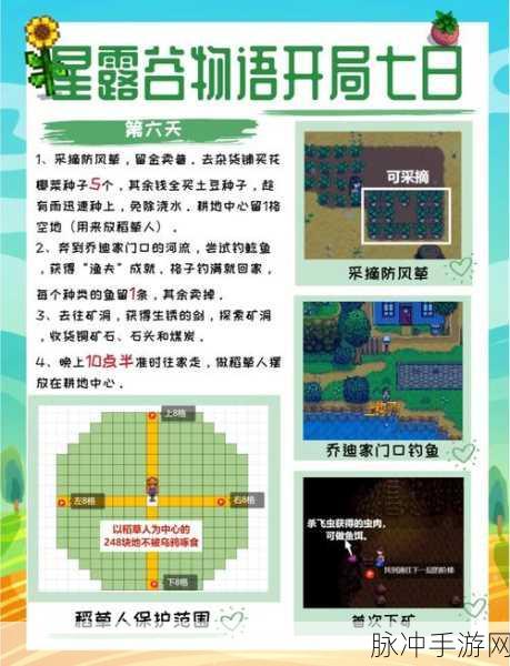 星露谷物语草原王，解锁高效过关秘籍