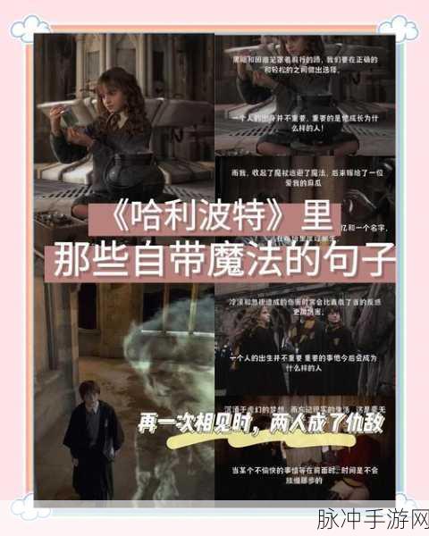 哈利波特与罗宾,魔法巅峰对决,策略秘籍全公开!