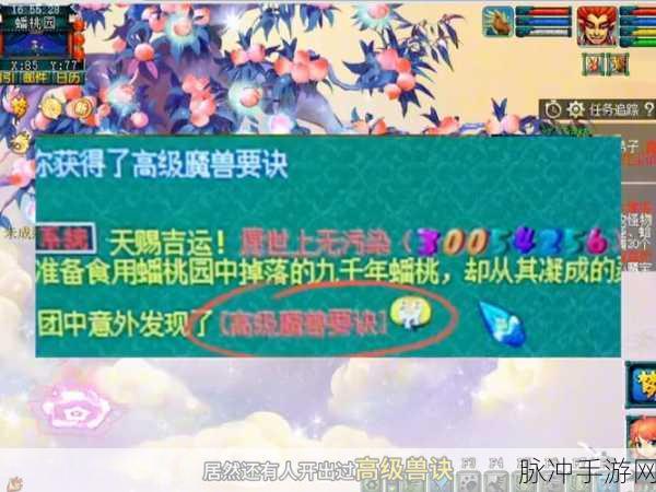 揭秘一本十妖背后的梦幻西游手游奥秘